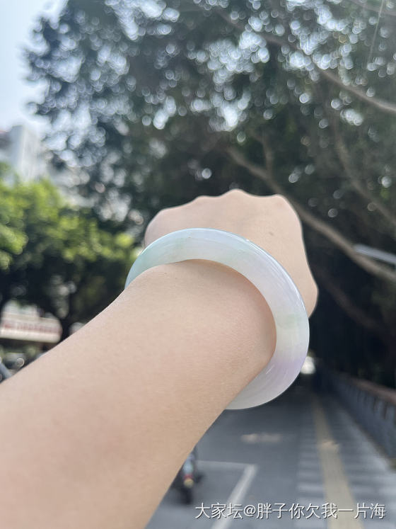 今日左手_手镯翡翠