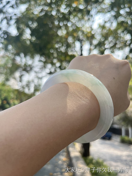 今日左手_手镯翡翠