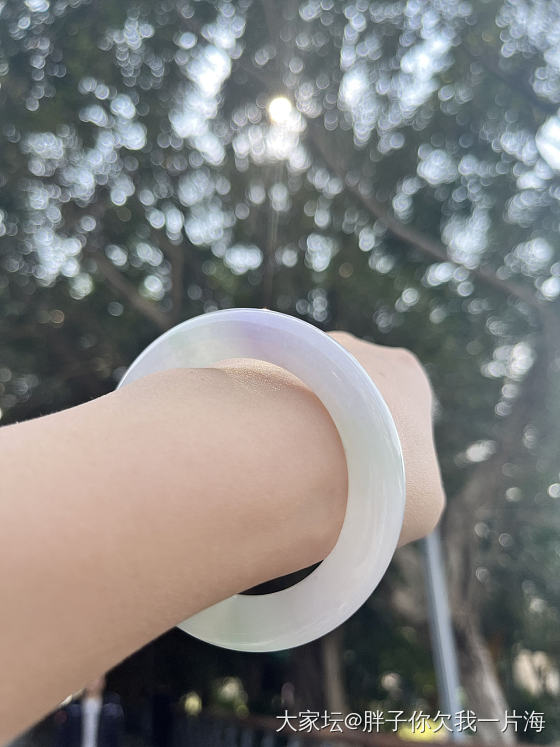 今日左手_手镯翡翠