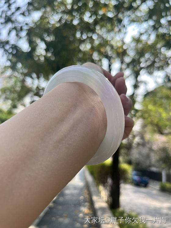 今日左手_手镯翡翠