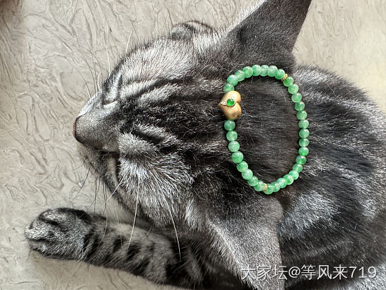 心不甘情不愿的背景_珠串翡翠