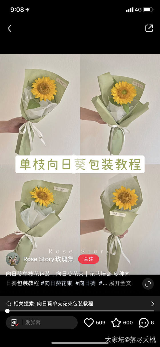 教师节热门爆款——向日葵_品味