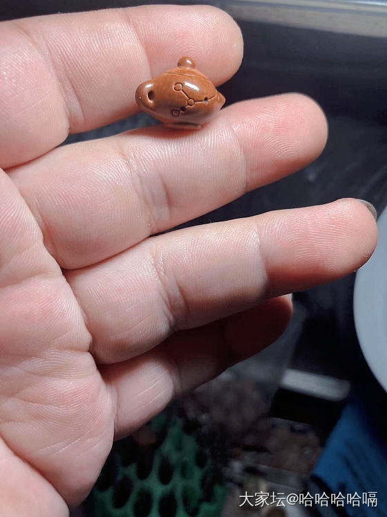 手搓了个星座把把壶，可爱不咯？_文玩核桃
