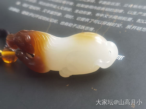 我的且末🐴啊！_和田玉