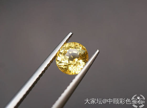 ##中颐天然黄色蓝宝石##  1.55ct  CGTL证书_蓝宝石名贵宝石