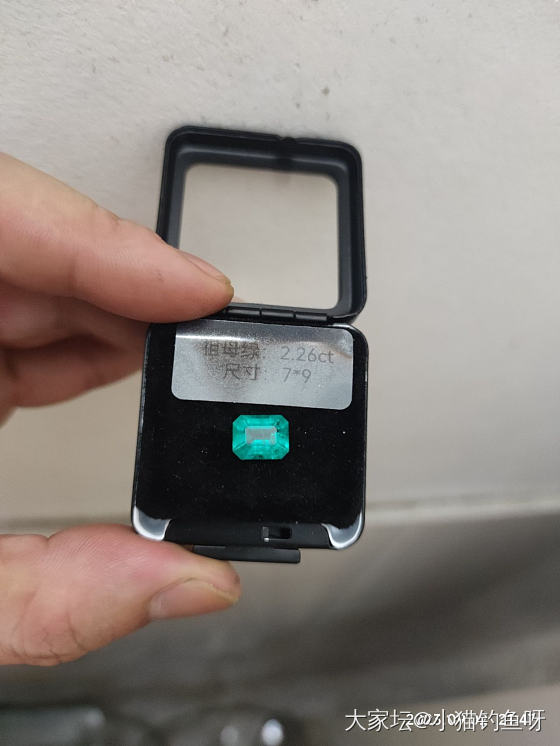 培育祖母绿_祖母绿