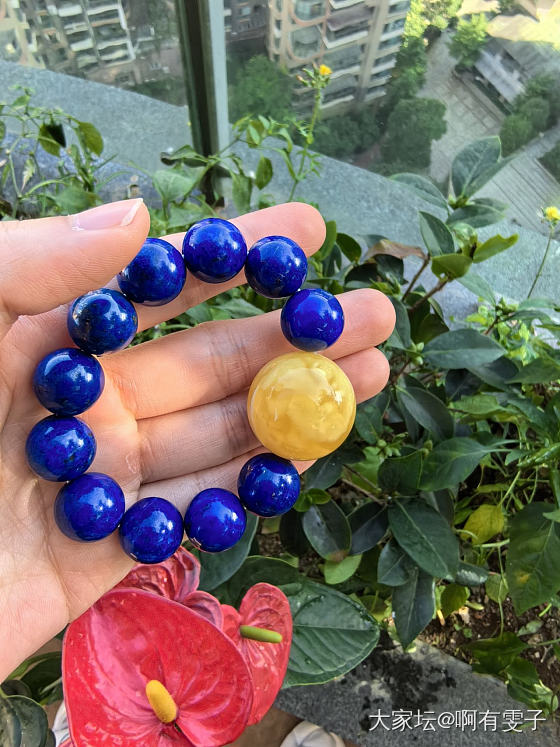 珠珠控之曾经的白妖花珠_琥珀蜜蜡