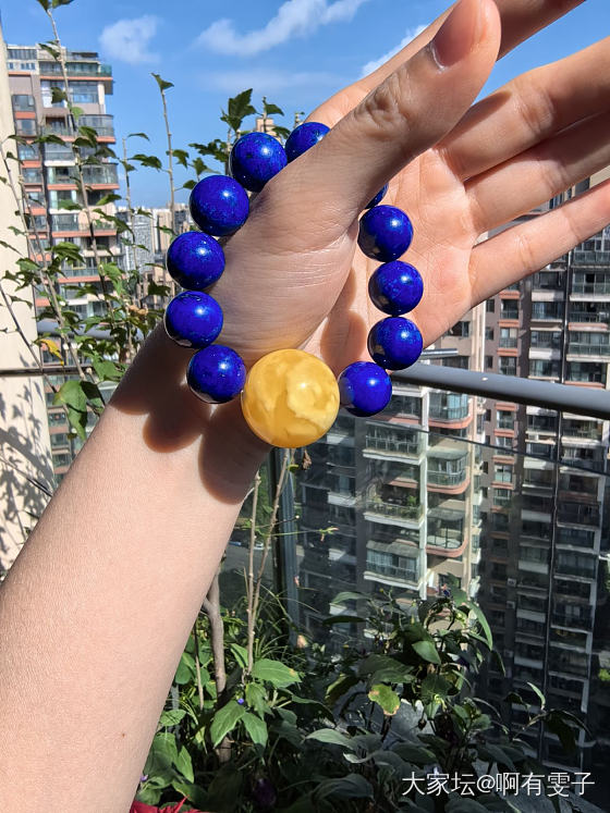 珠珠控之曾经的白妖花珠_琥珀蜜蜡