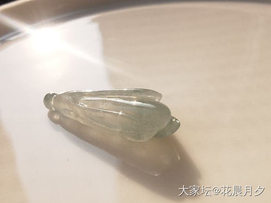 还有人记得这朵玉兰花吗？_翡翠