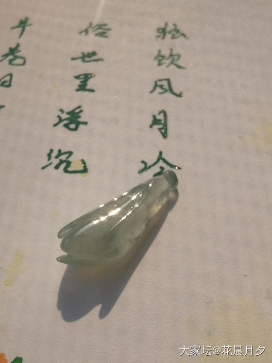 还有人记得这朵玉兰花吗？_翡翠