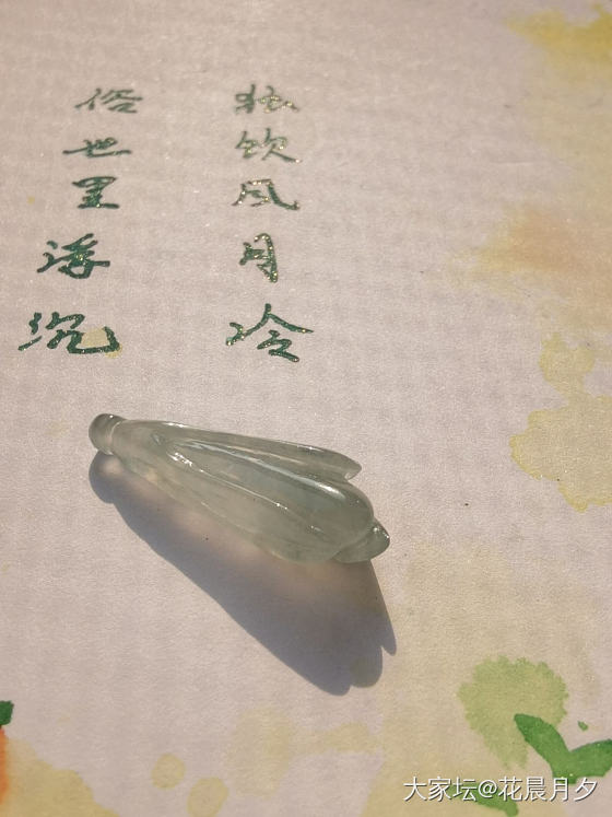 还有人记得这朵玉兰花吗？_翡翠