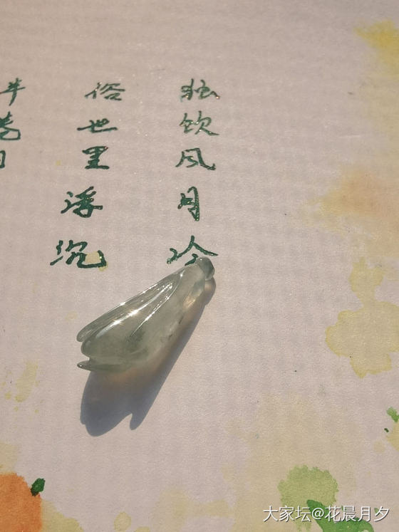 还有人记得这朵玉兰花吗？_翡翠