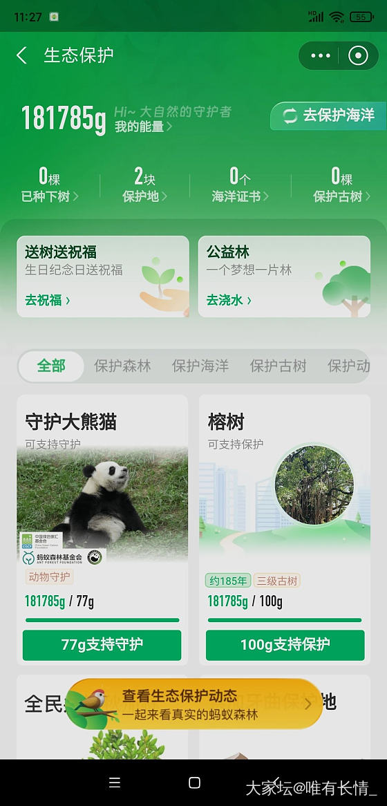 终于种上胡杨啦！_支付宝