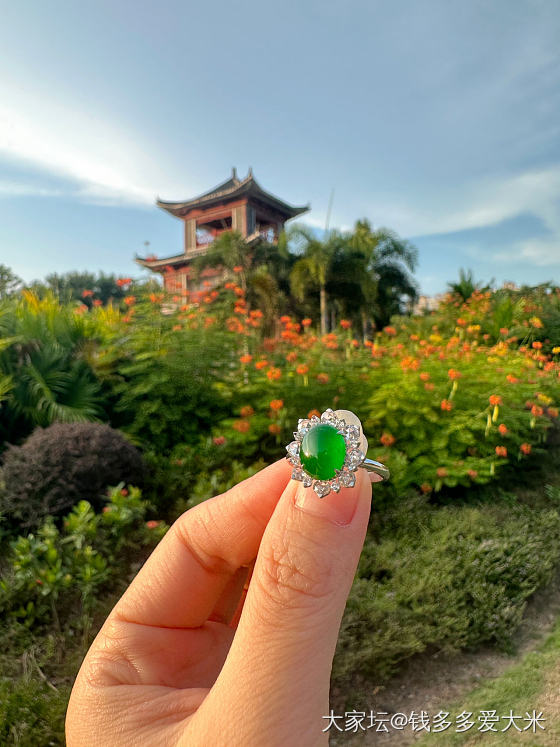 大圭不琢，美其质也。近期最爱的一颗翡翠蛋面💚_蛋面翡翠