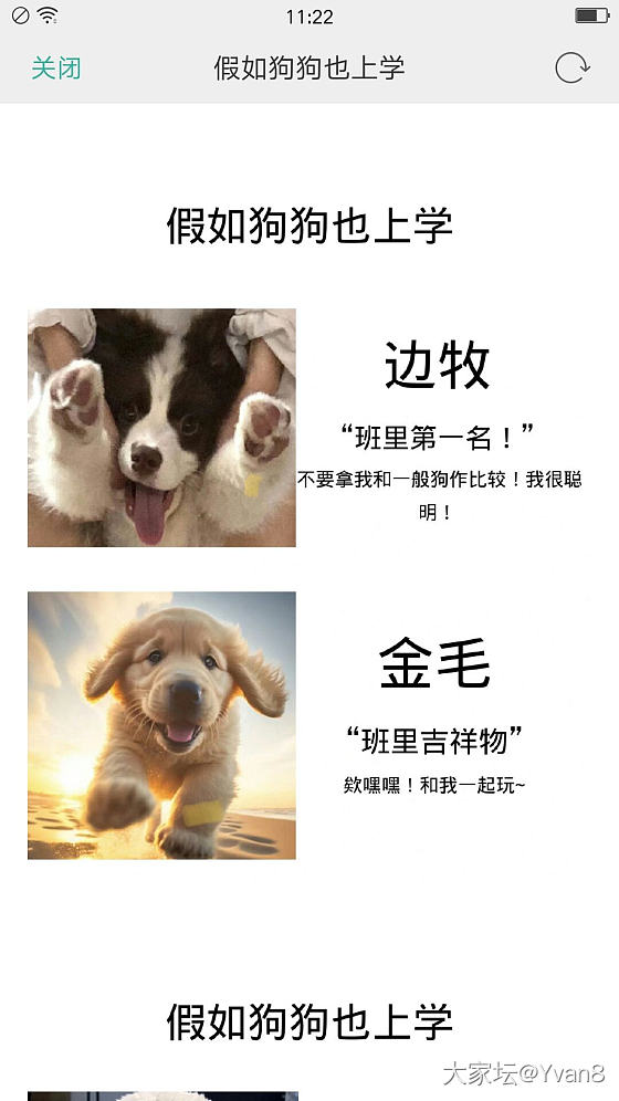 如果狗狗去上学_狗