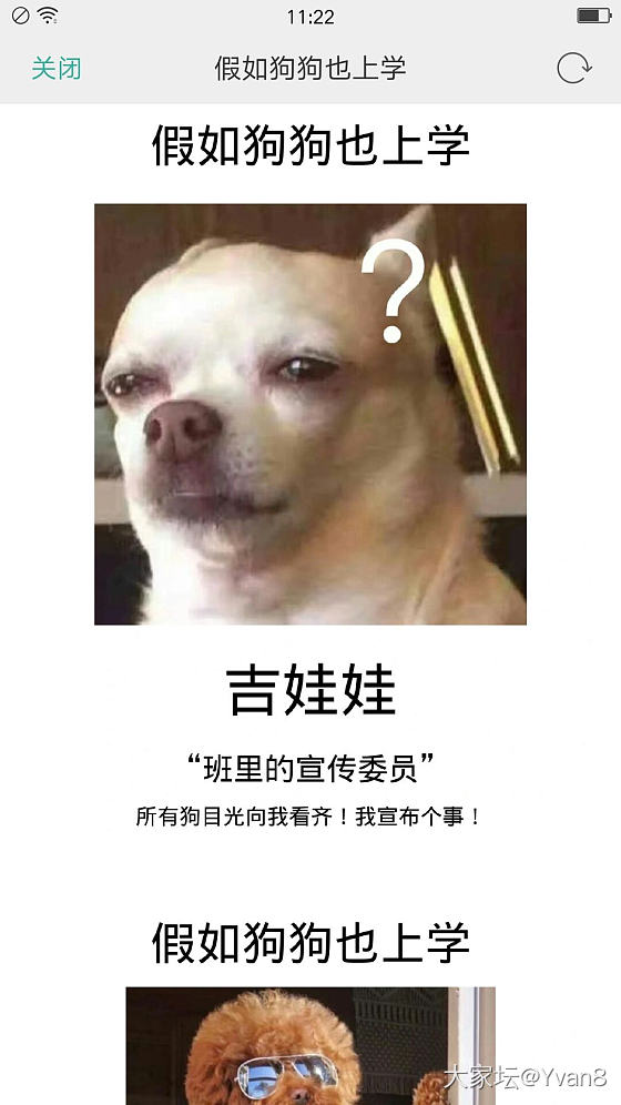 如果狗狗去上学_狗