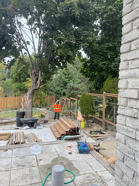 后院改造。右边木围墙完工了。_闲聊