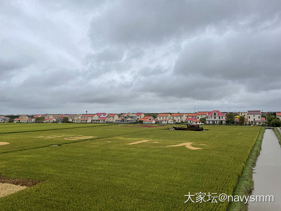 秋天总要去看一次稻田吧_景色