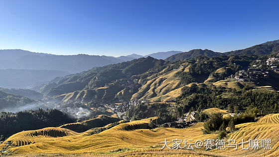 龙脊梯田_旅游景色