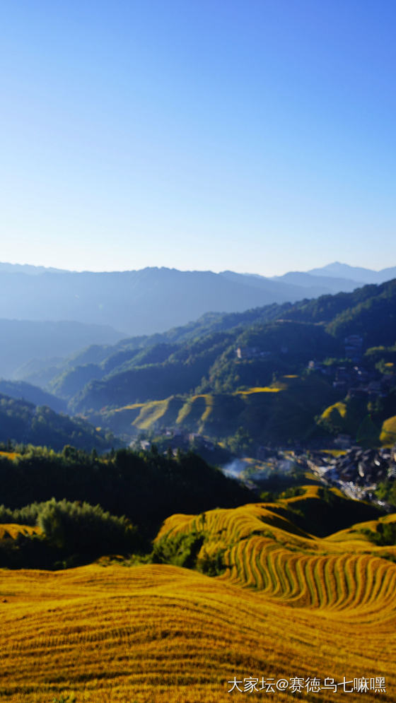 龙脊梯田_旅游景色