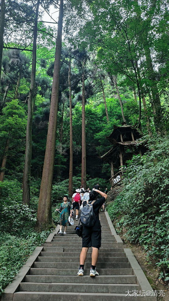 老君山 青城山_景色旅游闲聊