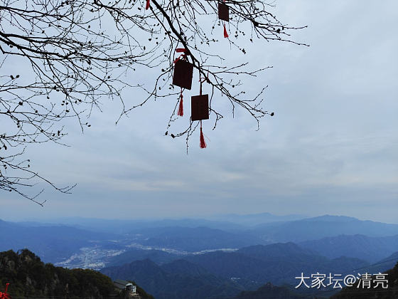 老君山 青城山_景色旅游闲聊