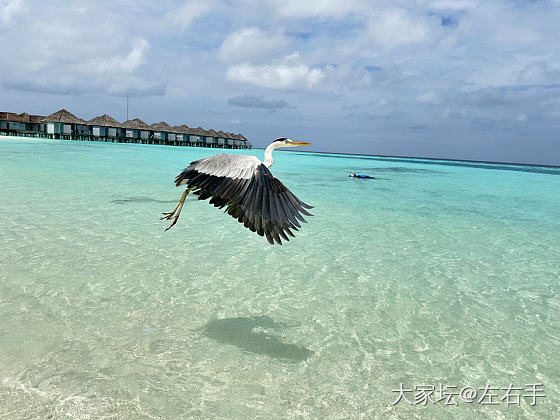 去看看海吧，趁现在_景色