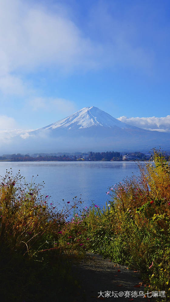 夜宿梦见河口湖，十里埋山，瞢腾似梦_景色旅游