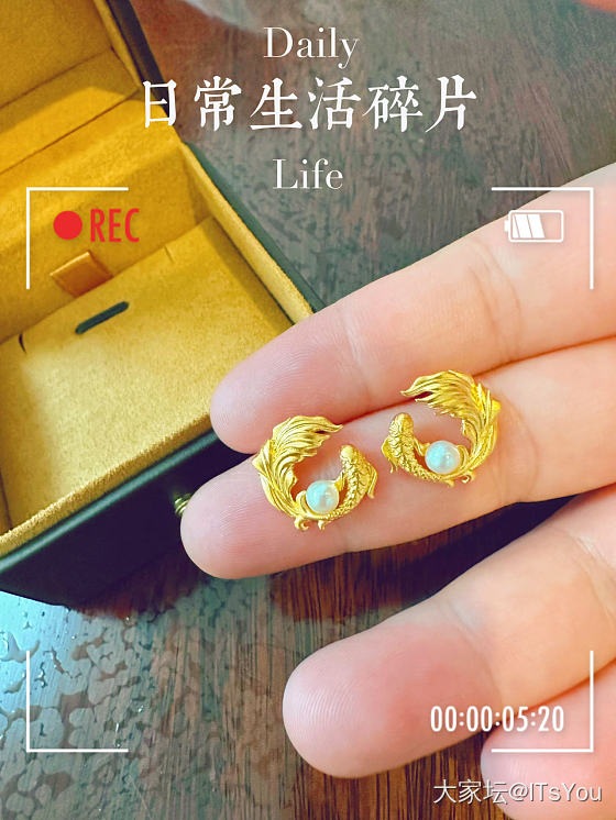 准备开始只看“好看的”而不是“品牌的”了_耳钉金