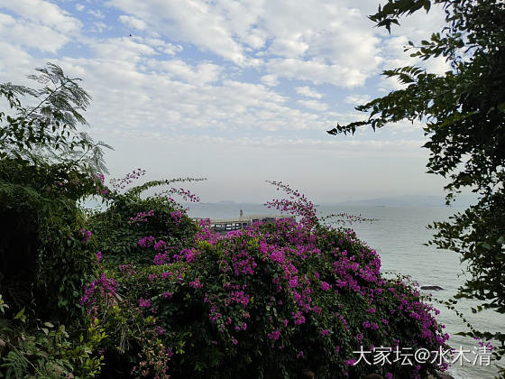 有经验的姐妹们，集思广益一下～（厦门）_厦门旅游