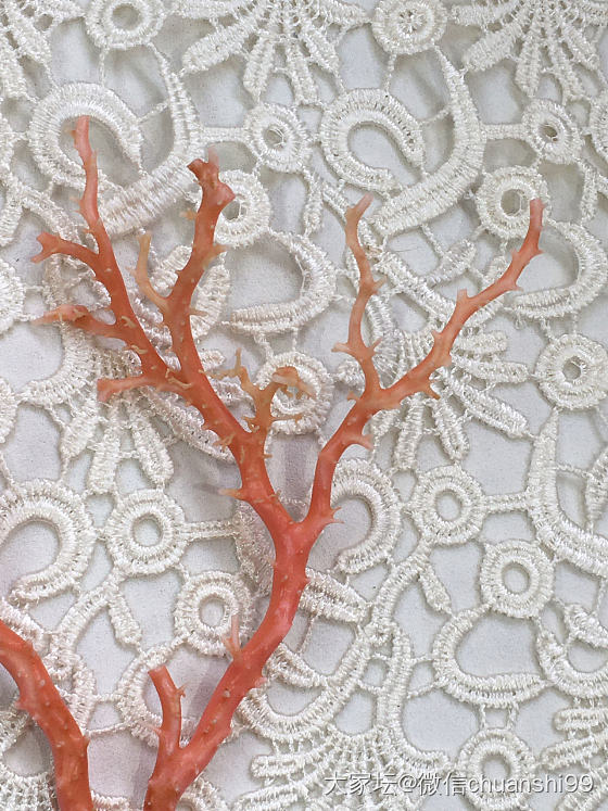 台湾莫莫红珊瑚 莫莫珊瑚树摆件_有机宝石