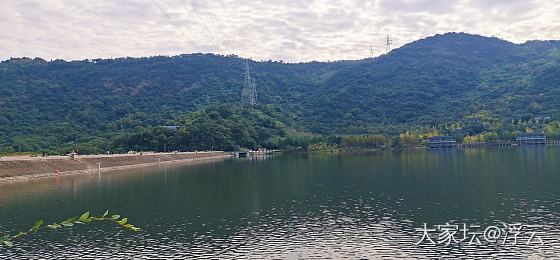 下午闲逛_景色大家谈