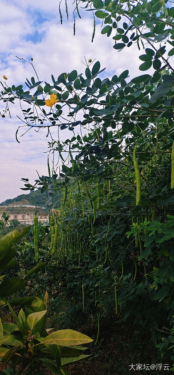 下午闲逛_景色大家谈