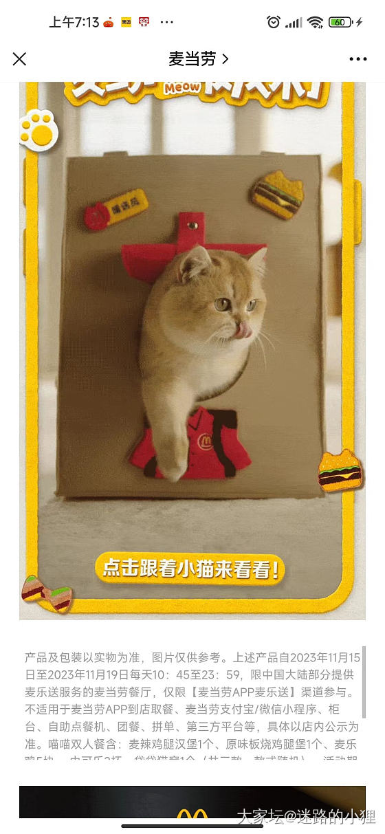 猫包～_猫