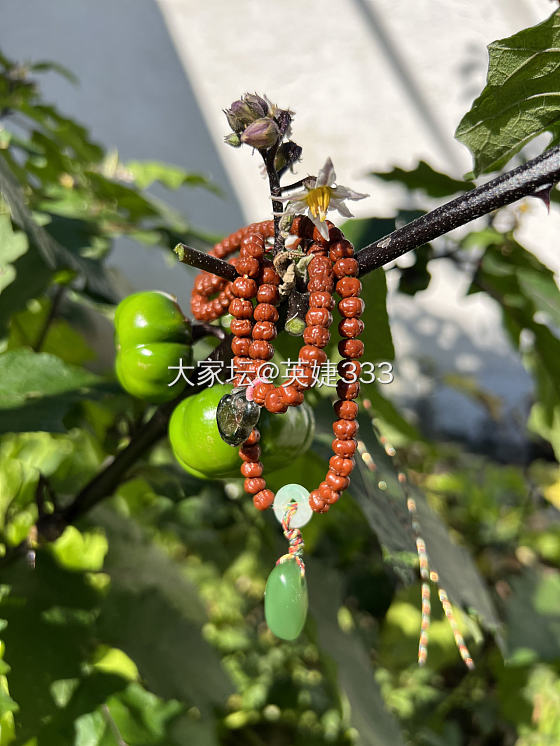 没想到我也入了碧玉坑_玉石和田玉