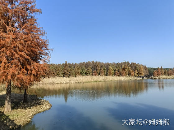 今天在外面人文行走_景色