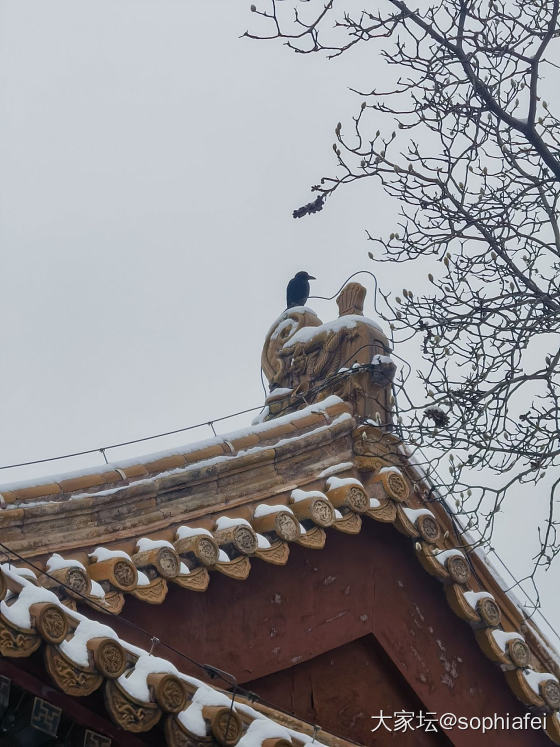 向着故宫敬一杯_北京旅游