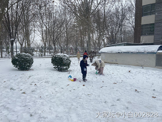 一场大雪_闲聊