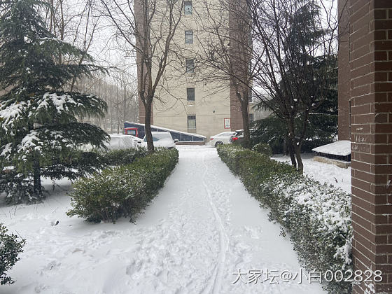 一场大雪_闲聊