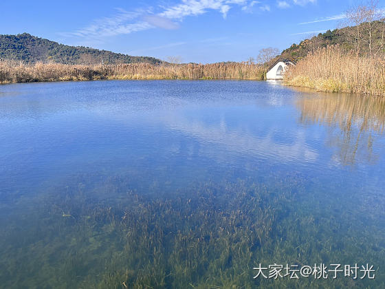 降温前的最后一个暖冬日_景色