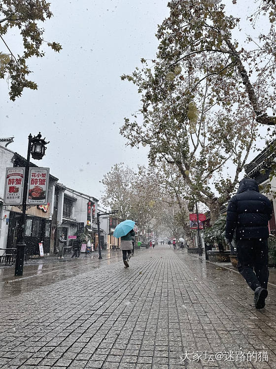 江南的雪_景色