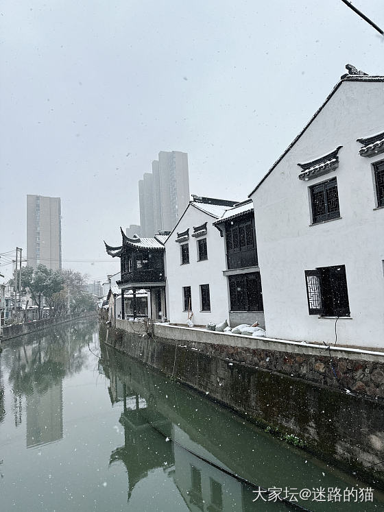 江南的雪_景色