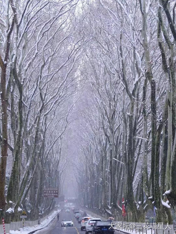 南京下雪啦❄️_闲聊