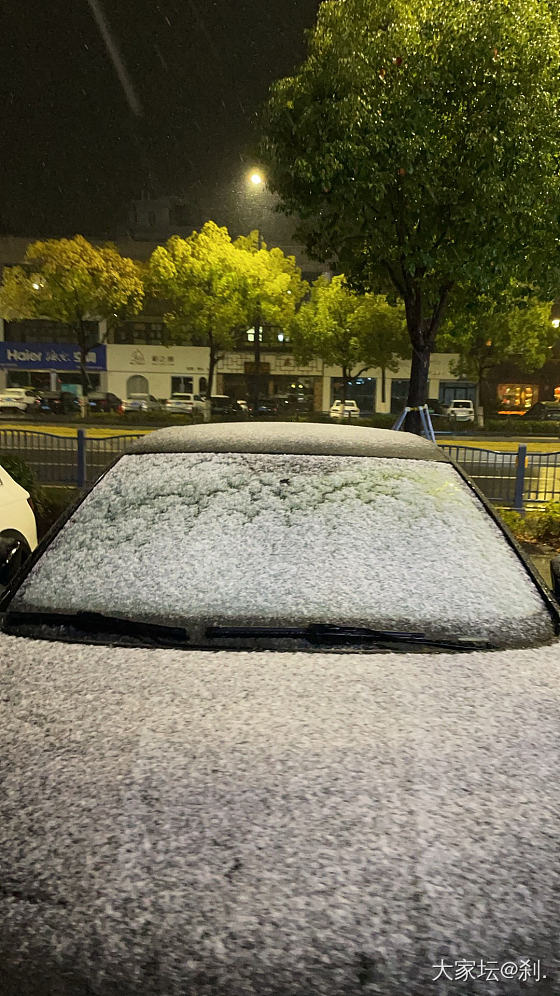 这样的雪 都让人激动！_景色