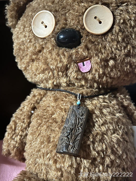 俺家小🐻的新宠_香道木