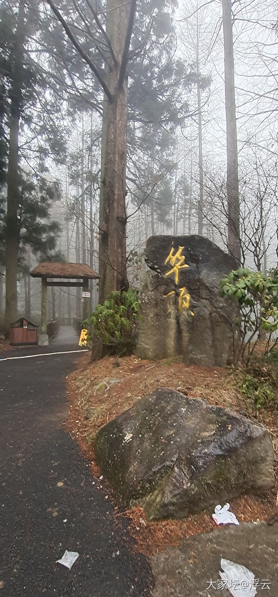 天台华顶山看雾凇_旅游