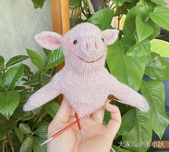 织了一只居居~🐷_编织手工diy