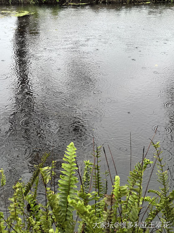 下雨雨雨雨雨雨雨雨雨雨雨雨雨雨……_景色旅游