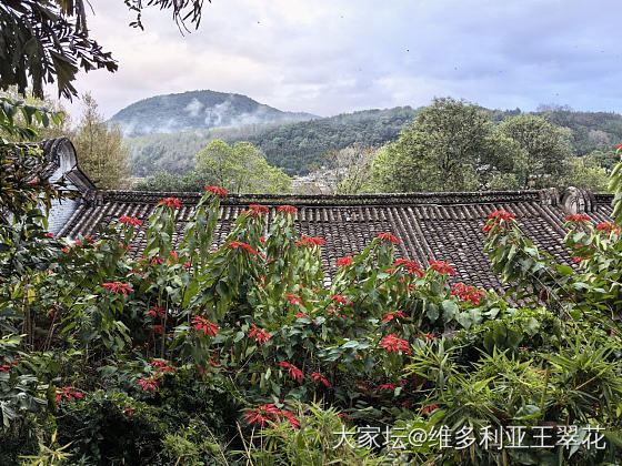 下雨雨雨雨雨雨雨雨雨雨雨雨雨雨……_景色旅游