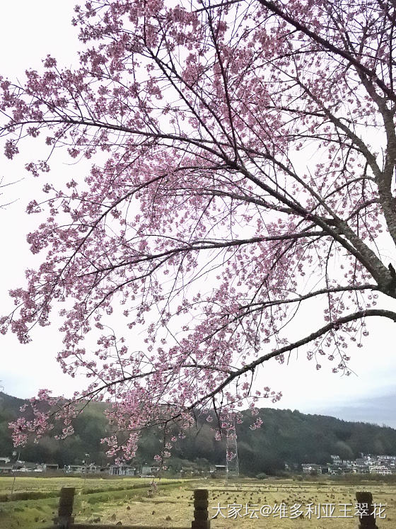 下雨雨雨雨雨雨雨雨雨雨雨雨雨雨……_景色旅游